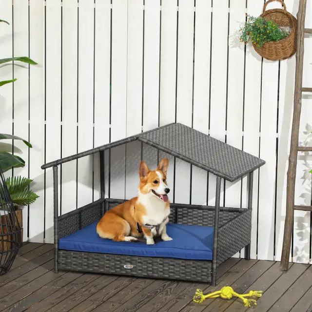 Dog House Outdoor with Canopy Blue - Shop at LoveMi