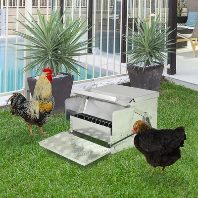 30 lbs Capacity Automatic Chicken Poultry Feeder with a Galvanized and Build Silver - Shop at LoveMi
