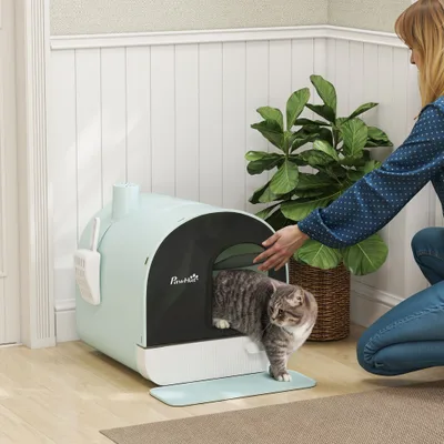 Cat Litter Box with Lid Green - Shop at LoveMi