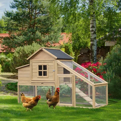 69" Chicken Coop Backyard Poultry Hen Cage Natural Wood - Shop at LoveMi