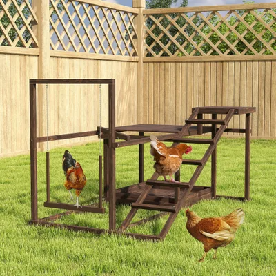 Chicken Activity Play Set with Perch Coffee - Shop at LoveMi