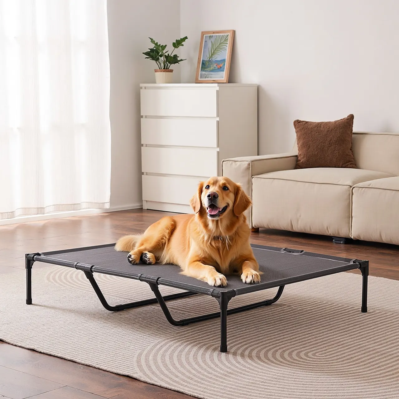 Elevated Dog Bed For Large Dog Portable Raised Dog Cot With Metal Frame XL - Multicolor - View 1