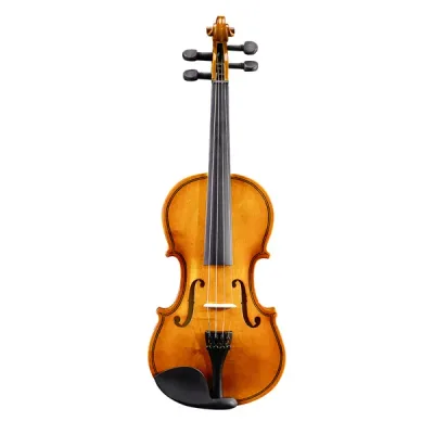 Brand New 1/4 Acoustic Violin With Hard Case,Violin Bow,Shoulder Rest,Rosin,Extra Strings And Sourdine Defaulttitle - Shop at LoveMi