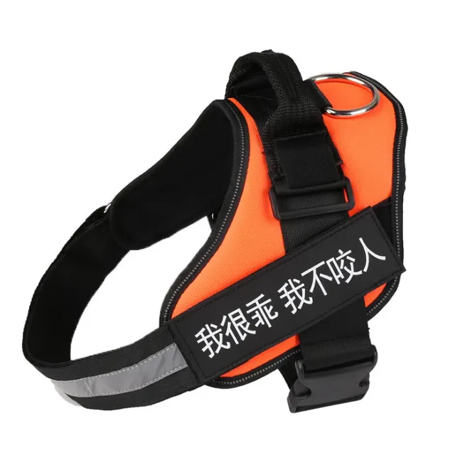 Pet chest strap with dog leash Orange - Shop at LoveMi