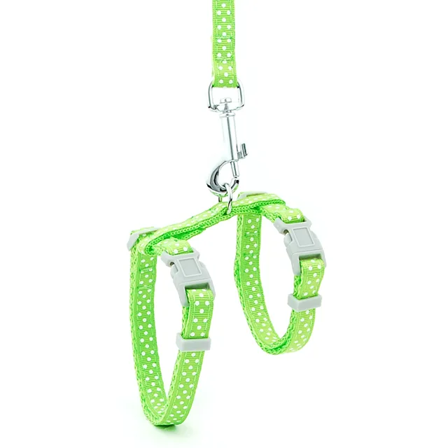 Cat anti break away leash Green - Shop at LoveMi