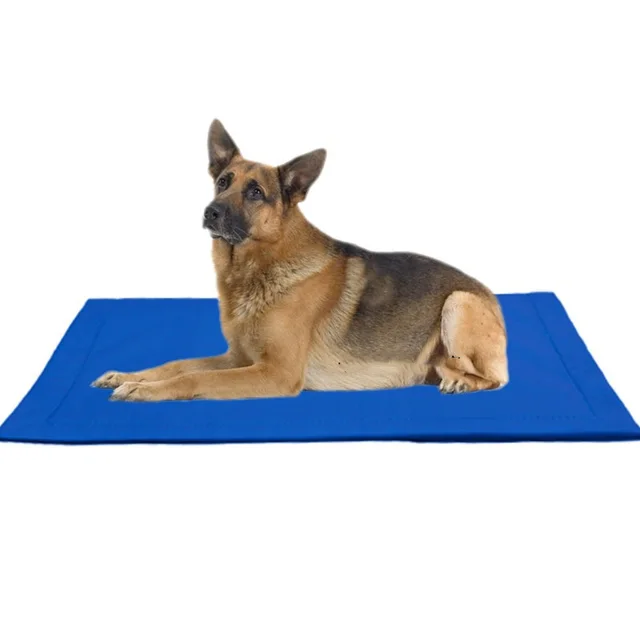 Pet bite resistant mat golden retriever large dog dog mat Blue - Shop at LoveMi