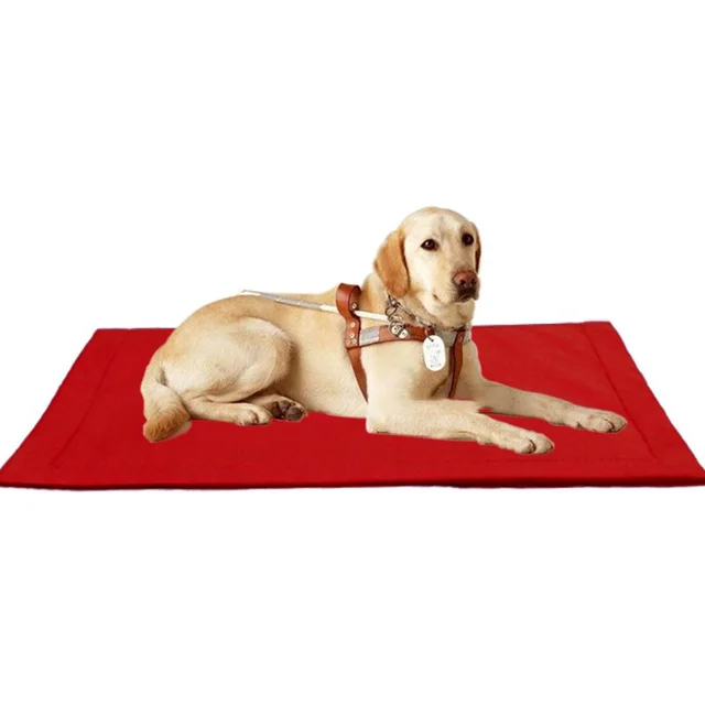 Pet bite resistant mat golden retriever large dog dog mat Red - Shop at LoveMi
