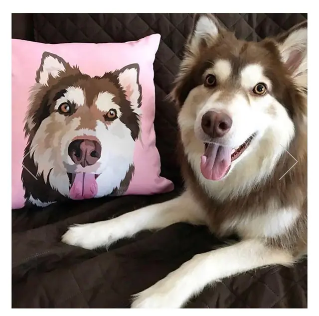 Throw Pillow 40Cm One Pillowcase - Shop at LoveMi