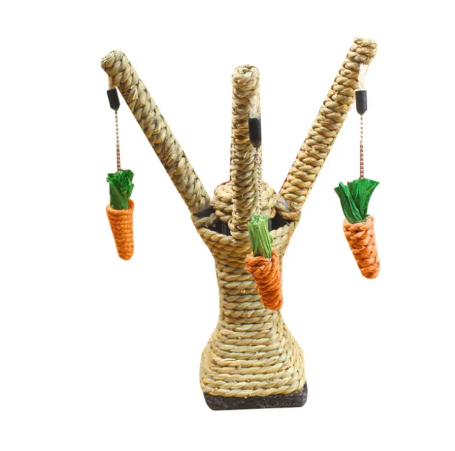 Kitten Claw Plate Molar Toy Vertical Photo Color - Shop at LoveMi
