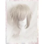 Wig With Net