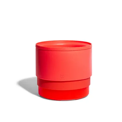 Cat food dog food pet household cat bowl Red - Shop at LoveMi