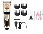 A60 Gold Set