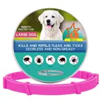 Big Dog Boxed Pink