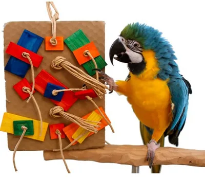Parrot Colored Building Block Nibbling Toy Large Size 22.5X27X6Cm - Shop at LoveMi