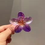 Ld519 Purple 6Cm