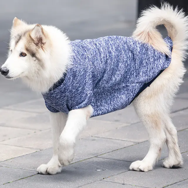 Large Size Dog Autumn Winter Sweater In The Body For Warmth Navy Blue - Shop at LoveMi