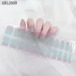Gel2009