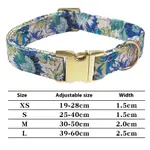 Collar A Sky Blue