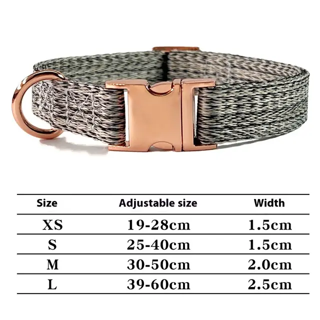 Dog Leash With Engraved Lettering And Anti Lost Collar Grey Collar - Shop at LoveMi