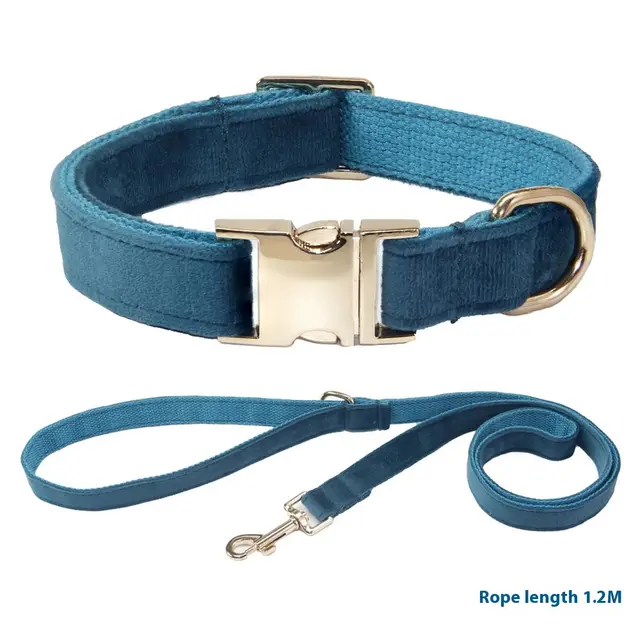 Dog Collar With Engraved Lettering, Anti Loss Collar, Large Dog Leash Green Collar Rope - Shop at LoveMi