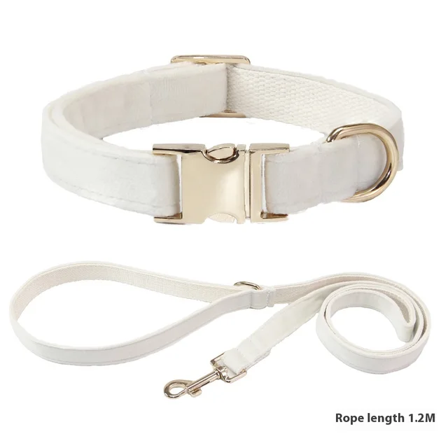 Dog Collar With Engraved Lettering, Anti Loss Collar, Large Dog Leash White Collar Rope - Shop at LoveMi