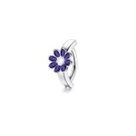 Flower Purple