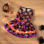 Colorful Pumpkin