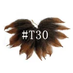 T30Color