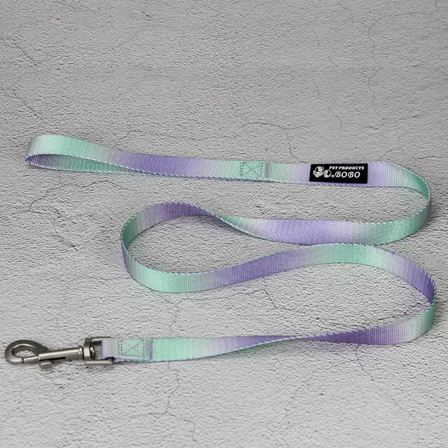 Pet Gradient Color Out Dog Leash Leash Set Single Bracelet Purple Green - Shop at LoveMi