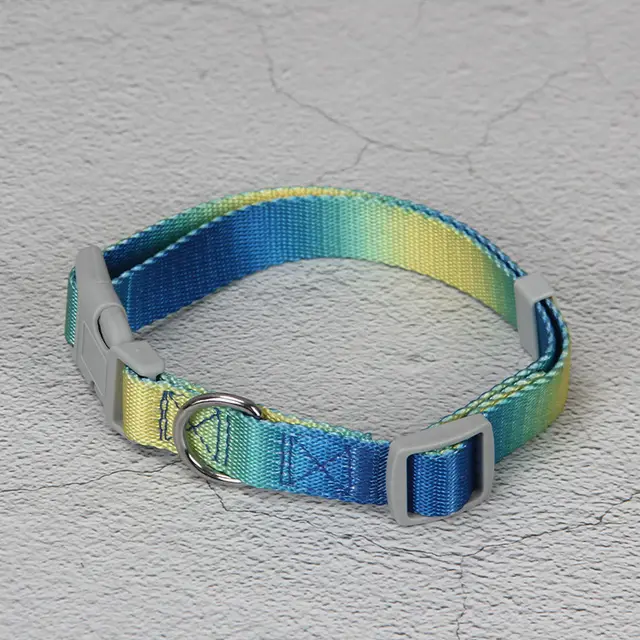 Pet Gradient Color Out Dog Leash Leash Set Single Collar Yellow And Blue - Shop at LoveMi