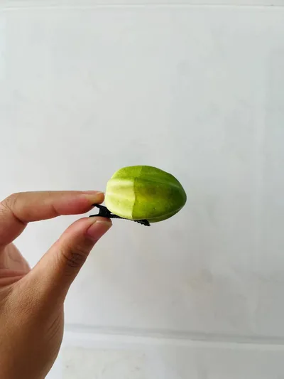 Korean Summer Emulational Fruit Orange Food Barrettes Carambola Barrettes - Shop at LoveMi