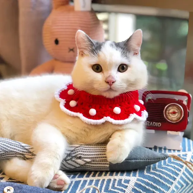 Ornament Cute Pet Cat Dog Rabbit Wool Knitted Collar - Shop at LoveMi