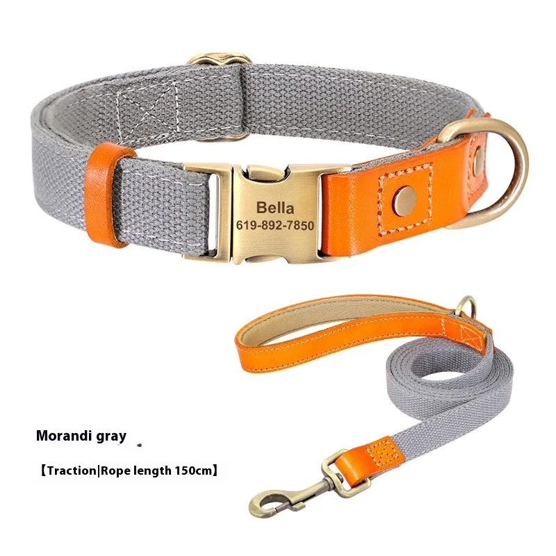 Small Dog Neck Collar Traction Rope Grey - Shop at LoveMi