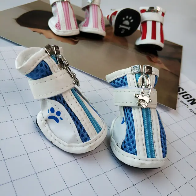 VIP Teddy Schnauzer Zipper Pet Sneaker No2 - Shop at LoveMi