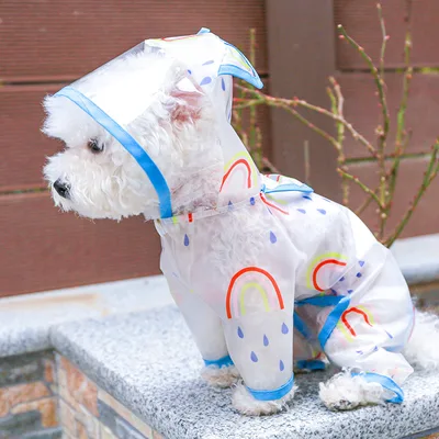 Transparent Waterproof Rainbow Dog Raincoat Blue - Shop at LoveMi