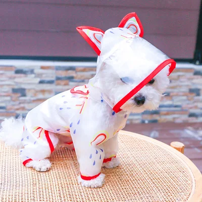 Transparent Waterproof Rainbow Dog Raincoat Red - Shop at LoveMi