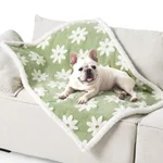 Light Green Sunflower