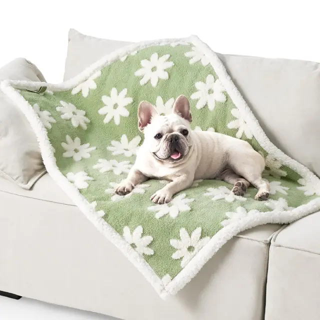 Pet Waterproof Blanket Shu Cotton Thickened Light Green Sunflower - Shop at LoveMi