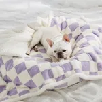 White Purple Plaid