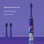 Grape Purplebattery Type