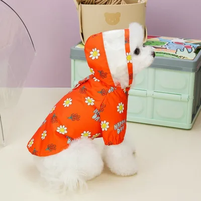 Dog Raincoat Pet Clothing Two Feet With Pull Ring Traction Transparent Spring, Summer, Autumn And Winter Four Seasons Raincoat Orange - Shop at LoveMi