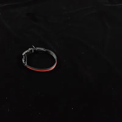 USB Charging Telescopic And Portable Pet Collar Suit Orange - Shop at LoveMi