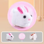 White Rabbit Grounder