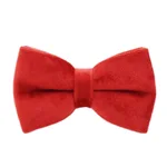 Bow