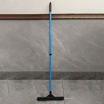 Double section Retractable Rubber Pet Cleaning Hair Removal Broom Blue - Shop at LoveMi