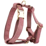 Dog Vest