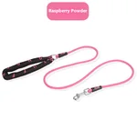 Raspberry Powder