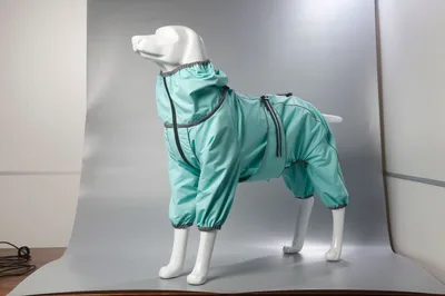 Dog Shell Jacket Cotton padded Clothes Warm Thickened Light Blue - Shop at LoveMi