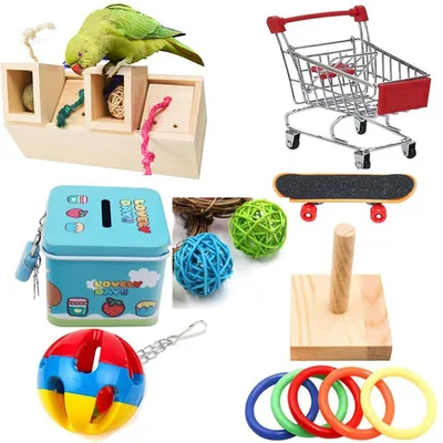 Parrot Toy Bird Supplies Supplies Puzzle Training 8 Pieces Suit - Shop at LoveMi