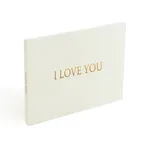 Multi-functional Commercial Wedding Video Invitation - Iloveyou